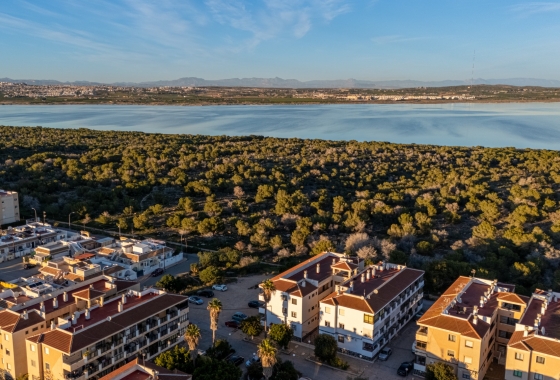 Reventa - Apartamento / piso - Torrevieja - La Siesta