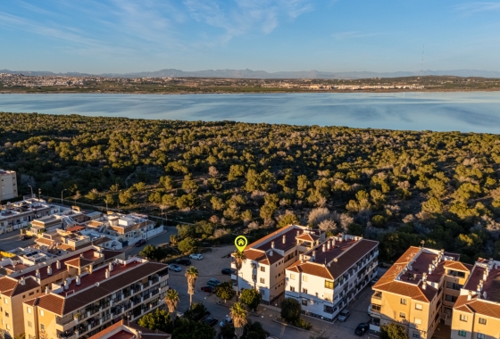 Reventa - Apartamento / piso - Torrevieja - La Siesta