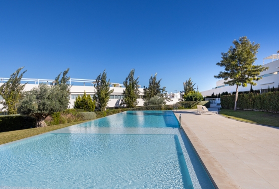 Reventa - Apartamento / piso - Torrevieja - Los Balcones