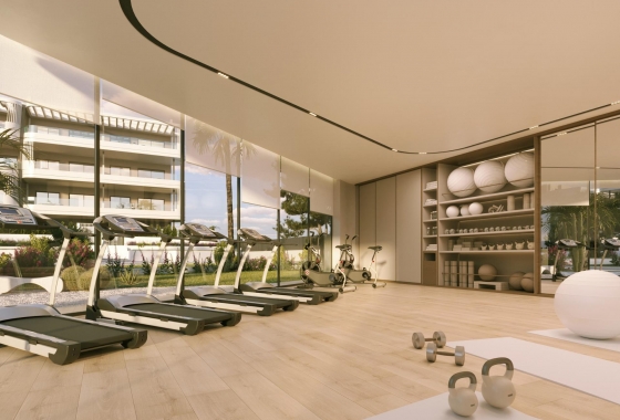 Obra nueva - Ático - Torrevieja - La Hoya