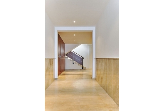 Nouvelle construction - Appartement - San Miguel de Salinas