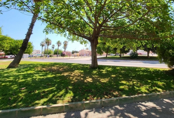 Resale - Apartment / flat - Torrevieja - Playa de los Locos