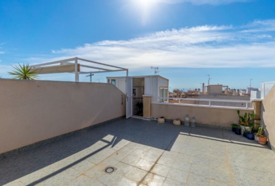 Reventa - Apartamento / piso - Torrevieja - Costa Blanca