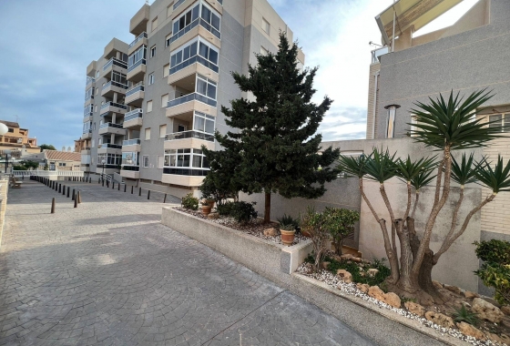 Wiederverkauf - Wohnung - Torrevieja - aguas nuevas