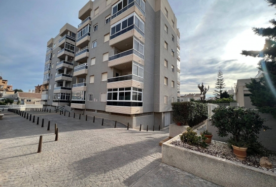 Wiederverkauf - Wohnung - Torrevieja - aguas nuevas