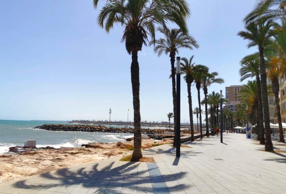 Перепродажа - Квартира - Torrevieja - Paseo Maritimo