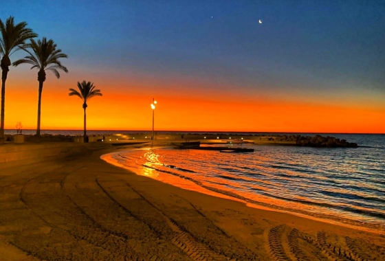 Перепродажа - Квартира - Torrevieja - Paseo Maritimo