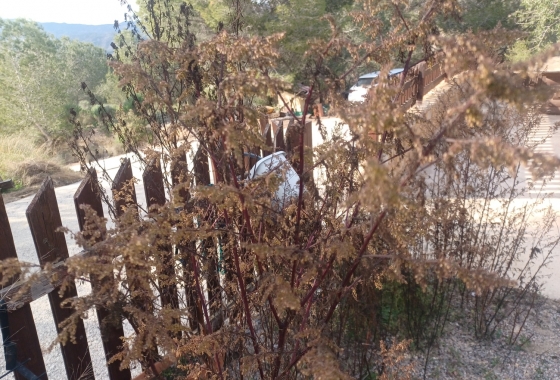 Resale - Finca - Gea Y Truyols - Inland