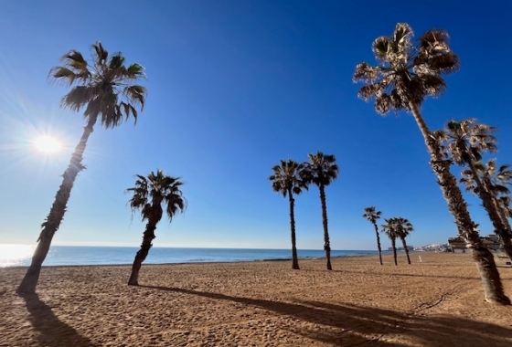 Resale - Apartment / flat - Guardamar del Segura - Guarmar Del Segura