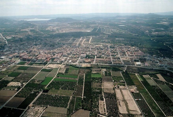 New Build - Apartment / flat - Bigastro - pueblo