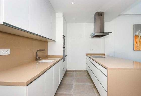 New Build - Townhouse - Daya Nueva - Centro