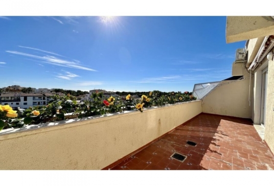 Resale - Penthouse - Torrevieja - Costa Blanca