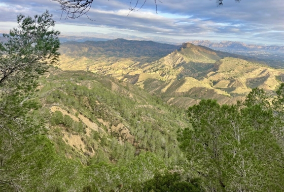 Resale - Finca - Gea Y Truyols - Sierra de Columbares Natural Park