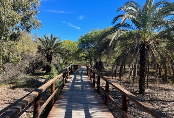 Resale - Apartment / flat - Guardamar del Segura - Playa