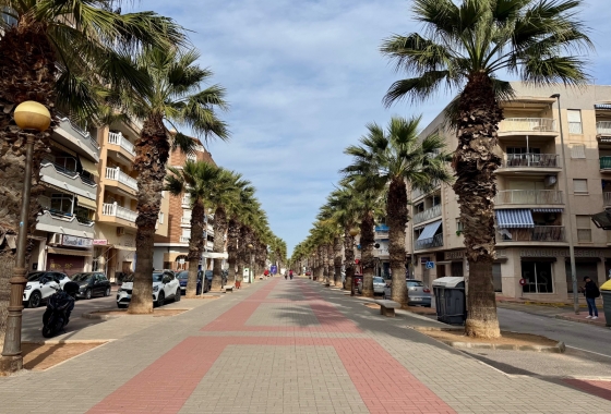 Resale - Apartment / flat - Guardamar del Segura - Playa