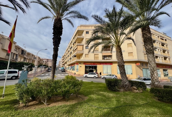 Resale - Apartment / flat - Guardamar del Segura - Playa