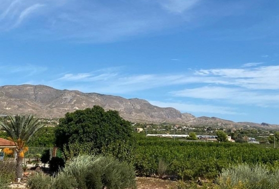 Resale - Villa - Albatera - Campo De Albatera