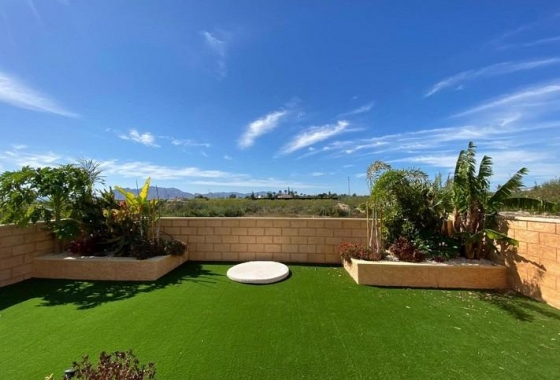 Resale - Villa - Albatera - Campo De Albatera