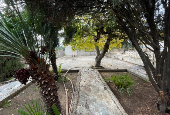 Resale - Villa - Elche - Costa Blanca