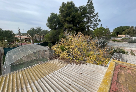 Resale - Villa - Elche - Costa Blanca