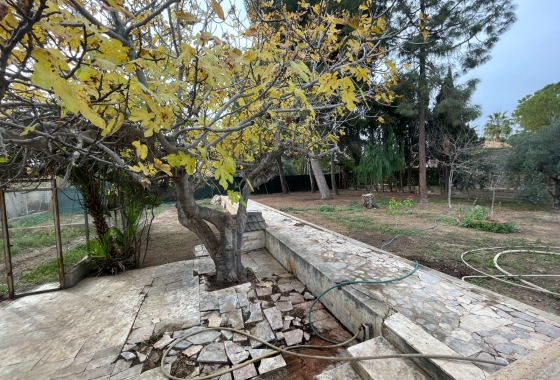 Resale - Villa - Elche - Costa Blanca