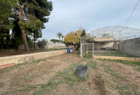 Resale - Villa - Elche - Costa Blanca