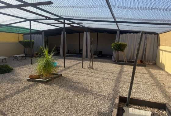 Resale - Finca - Elche - Costa Blanca