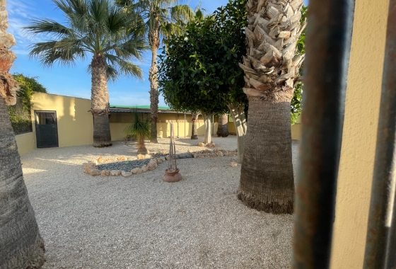 Resale - Finca - Elche - Costa Blanca