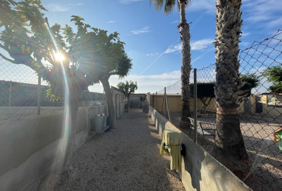 Resale - Finca - Elche - Costa Blanca