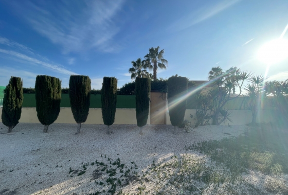 Resale - Finca - Elche - Costa Blanca