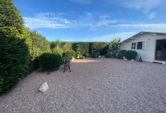 Resale - Finca - Elche - Costa Blanca