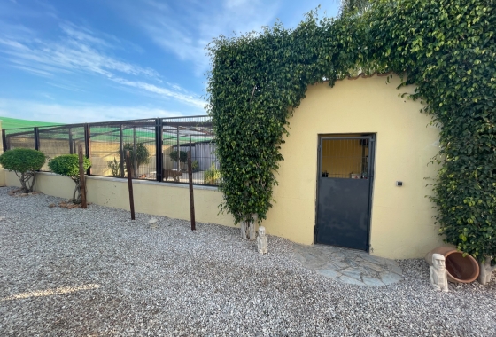 Resale - Finca - Elche - Costa Blanca