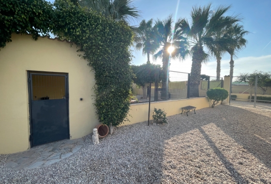 Resale - Finca - Elche - Costa Blanca
