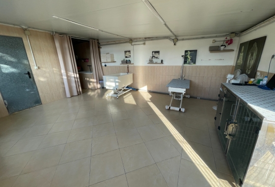 Resale - Finca - Elche - Costa Blanca