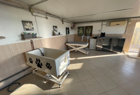 Resale - Finca - Elche - Costa Blanca