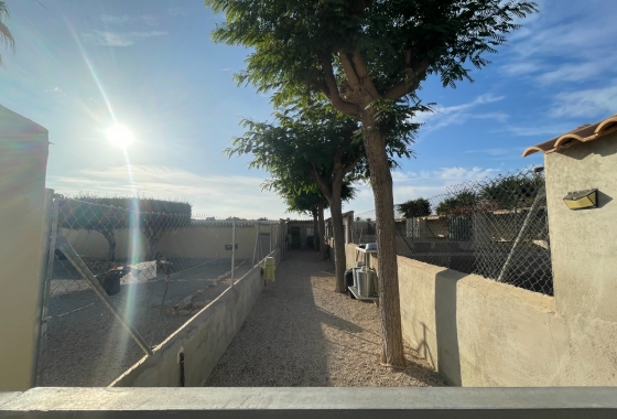 Resale - Finca - Elche - Costa Blanca