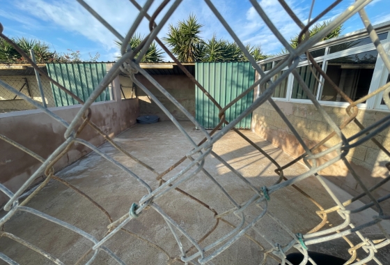 Resale - Finca - Elche - Costa Blanca