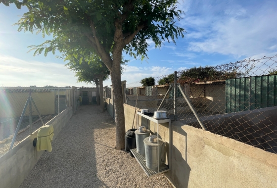 Resale - Finca - Elche - Costa Blanca