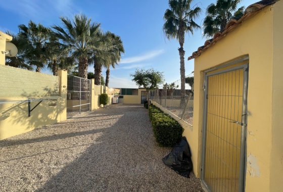 Resale - Finca - Elche - Costa Blanca