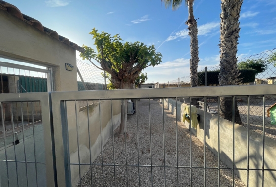 Resale - Finca - Elche - Costa Blanca