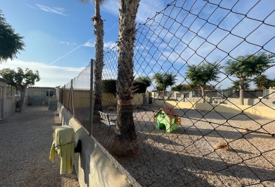 Resale - Finca - Elche - Costa Blanca