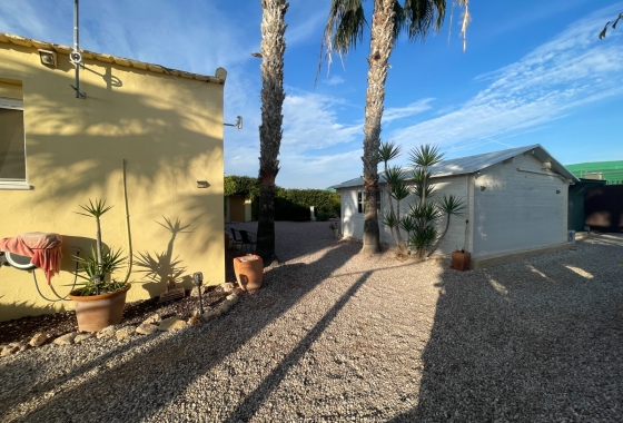 Resale - Finca - Elche - Costa Blanca