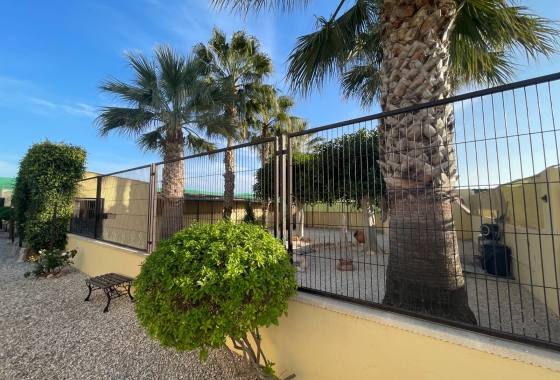 Resale - Finca - Elche - Costa Blanca