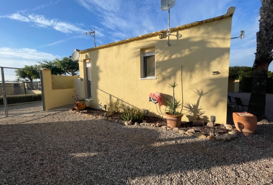 Resale - Finca - Elche - Costa Blanca