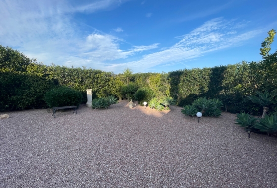 Resale - Finca - Elche - Costa Blanca