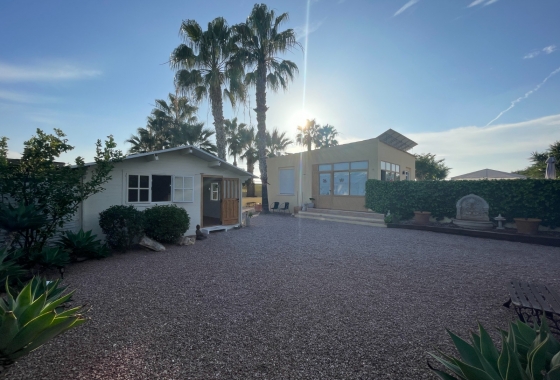 Resale - Finca - Elche - Costa Blanca