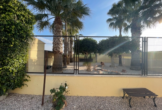 Resale - Finca - Elche - Costa Blanca