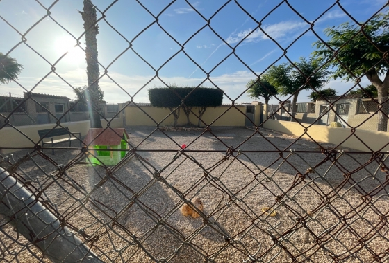 Resale - Finca - Elche - Costa Blanca