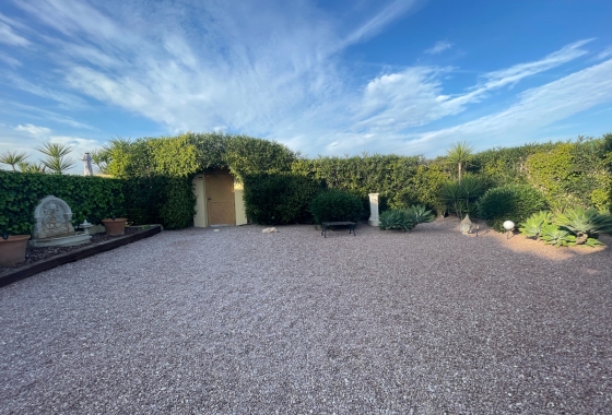 Resale - Finca - Elche - Costa Blanca