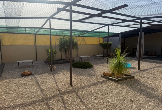 Resale - Finca - Elche - Costa Blanca